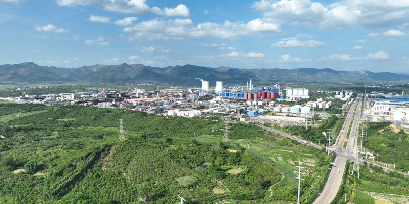 田東石化工業園區。田東石化工業園區管服中心供圖