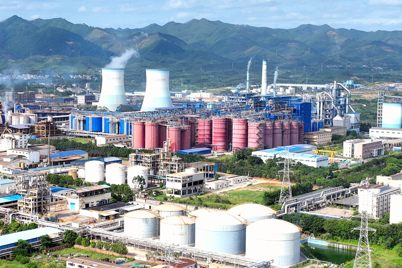 田東石化工業園區。田東石化工業園區管服中心供圖