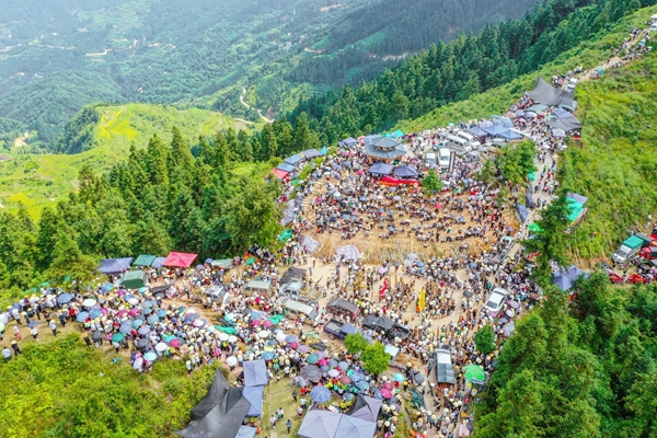 航拍坡會活動現場。劉嘉琦攝