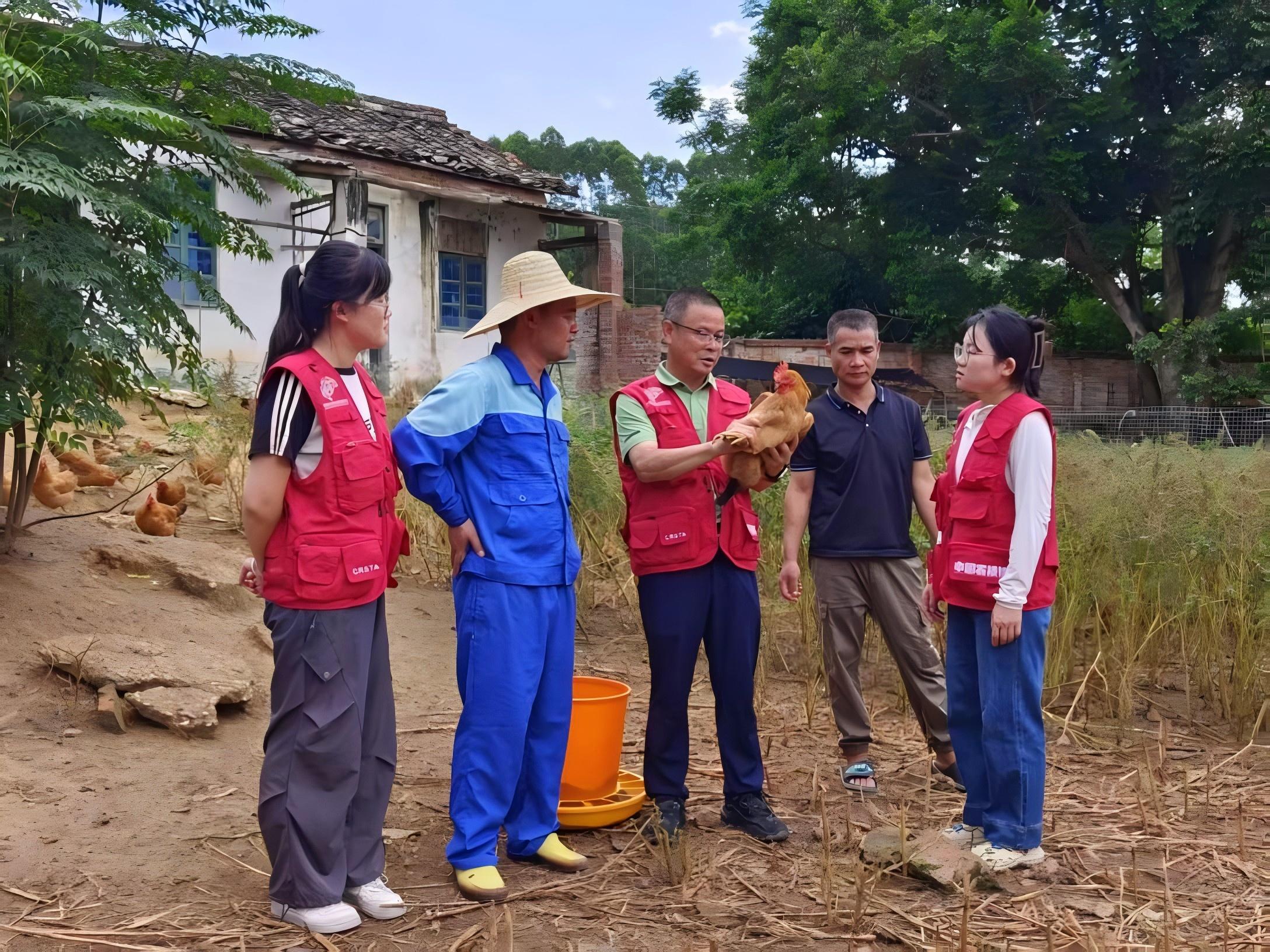 广西灵山香鸡科技小院首席专家沈水宝（中）在进行生产指导。自治区科协供图
