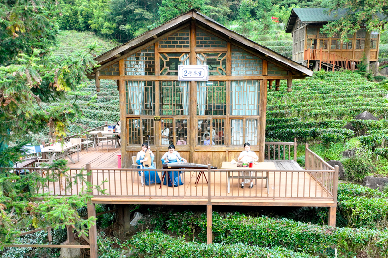 方家茶園琴聲悠揚，游客駐足欣賞。