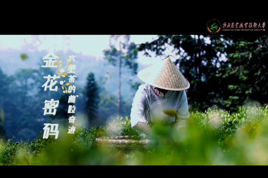 視頻截圖