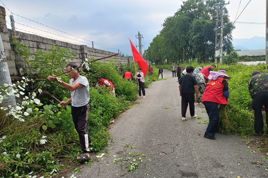 清除路边杂草
