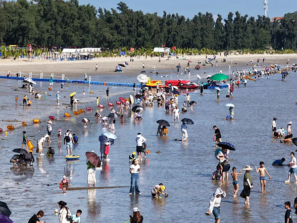 2026国庆假期钦州文旅市场太“燃”了(图2)