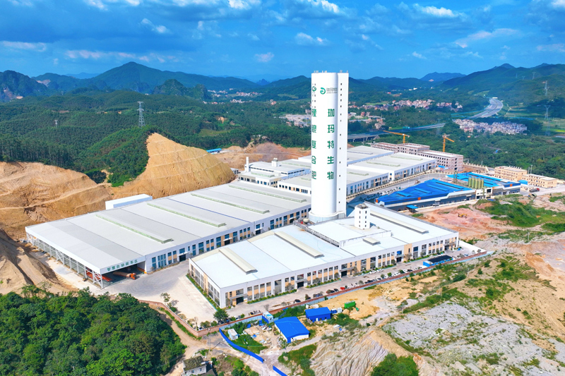 位於興業縣輕化產業園的廣西珈瑪特生物工程有限公司。蔣金泰攝