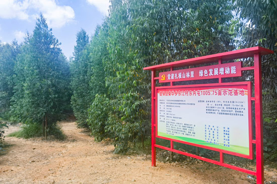 林地黨建標識牌。張慶儀攝