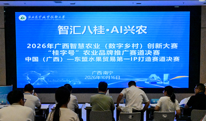 比赛现场。黄政琪摄