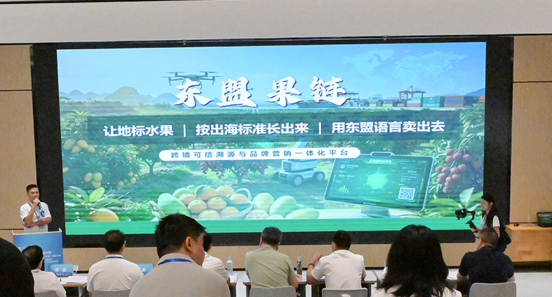 “东盟果链——跨境可信溯源与品牌营销一体化平台”项目路演。黄政琪摄