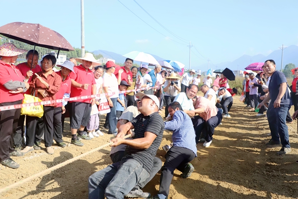 農民運動會現場。李家鴻攝