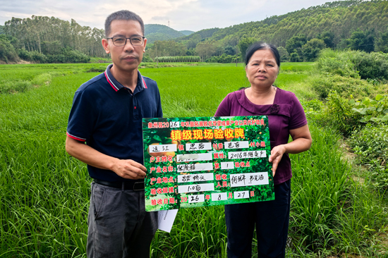 象州县烟草专卖局(营销部)党员志愿者深入帮扶村开展产业以奖代补实地核验工作(图1)