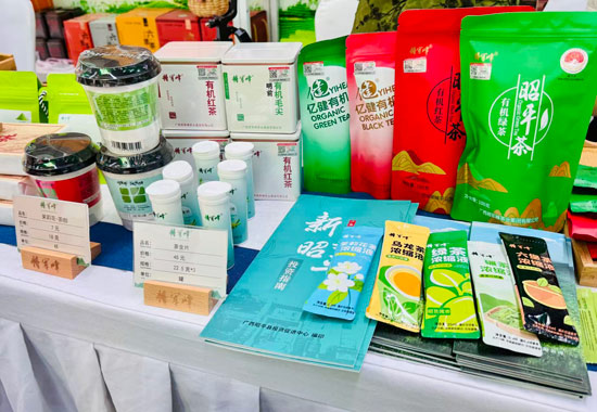 昭平茶從傳統散茶到如今的多樣化發展，衍生了不少新產品。文馨攝