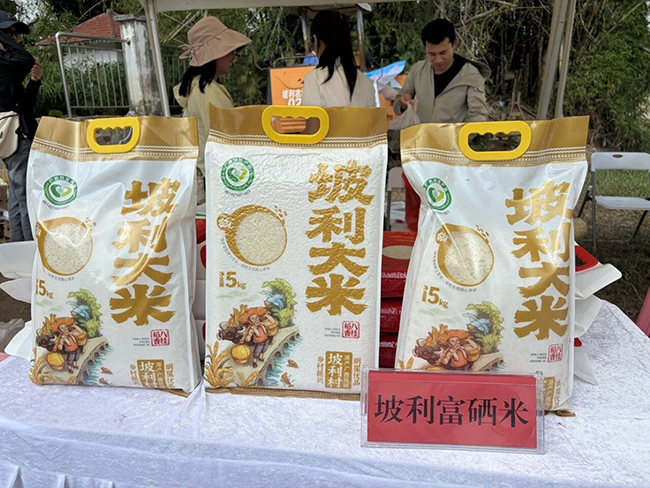 坡利村富硒大米。扶绥县融媒体中心供图