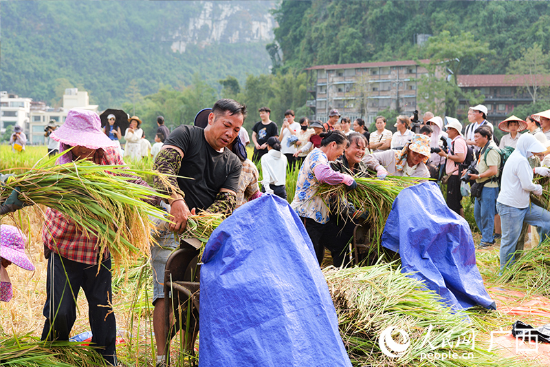 比赛现场。人民网 梁章晖摄
