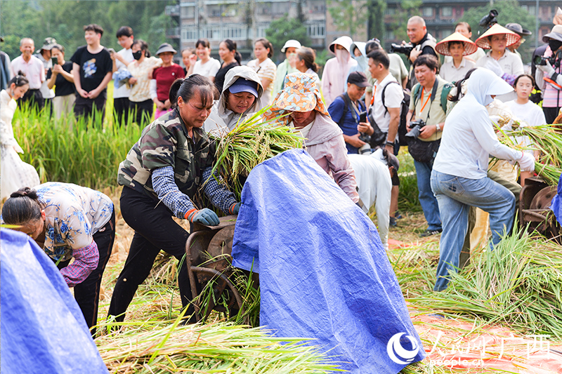 比赛现场。人民网 梁章晖摄