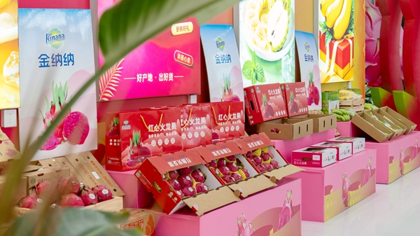 隆安火龙果。主办方供图