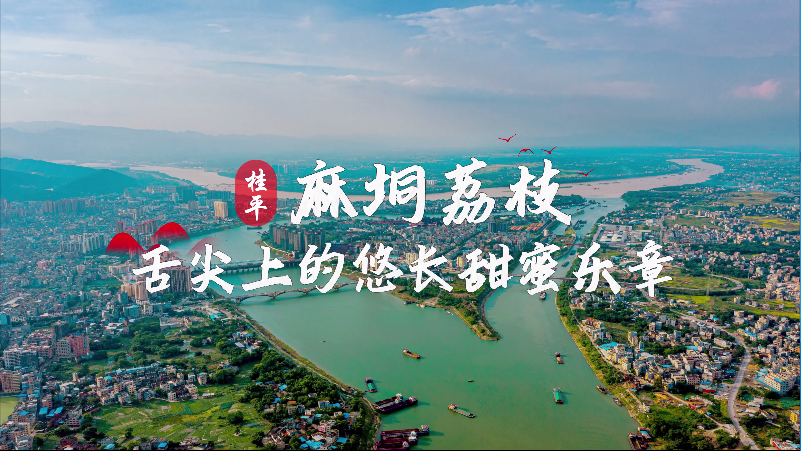 桂平麻垌荔枝：舌尖上的甜蜜乐章