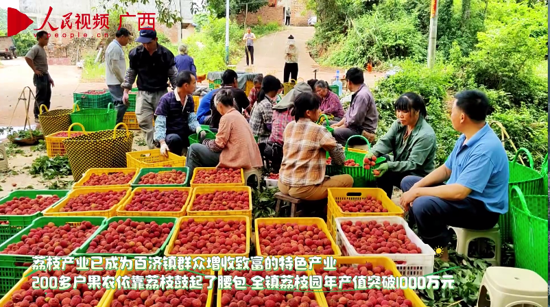 广西南宁：仙进奉荔枝出海  助果农增收致富