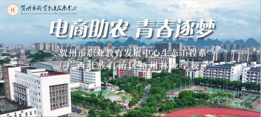 电商助农青春逐梦