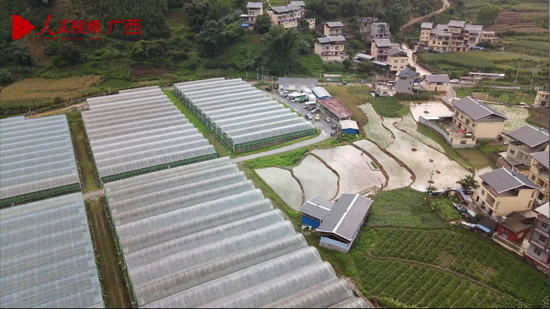 田林：农文旅融合绘新卷 爱善庄园成 “样板”