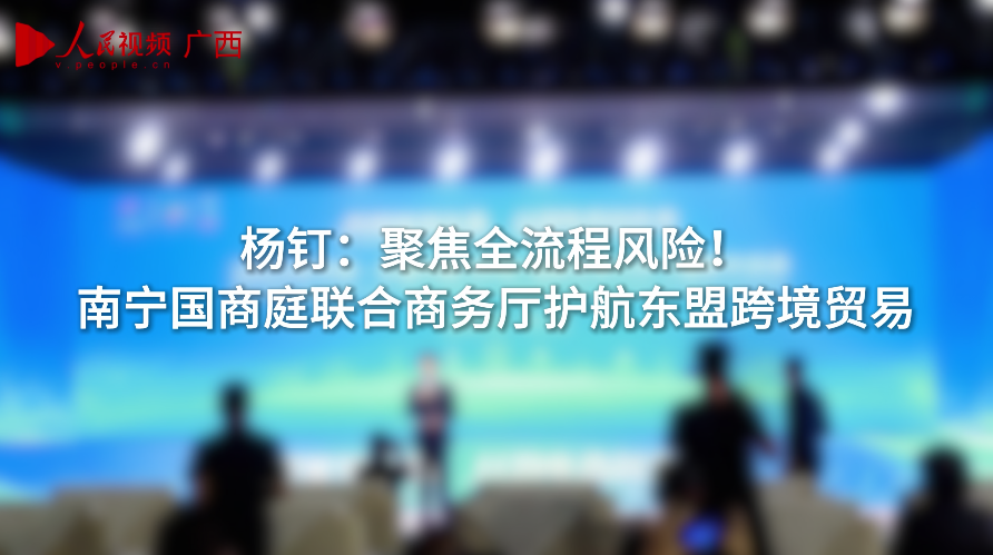 2南寧國際商事法庭副庭長楊釘-楊釘：聚焦全流程風險！南寧國商庭聯合商務廳護航東盟跨境貿易