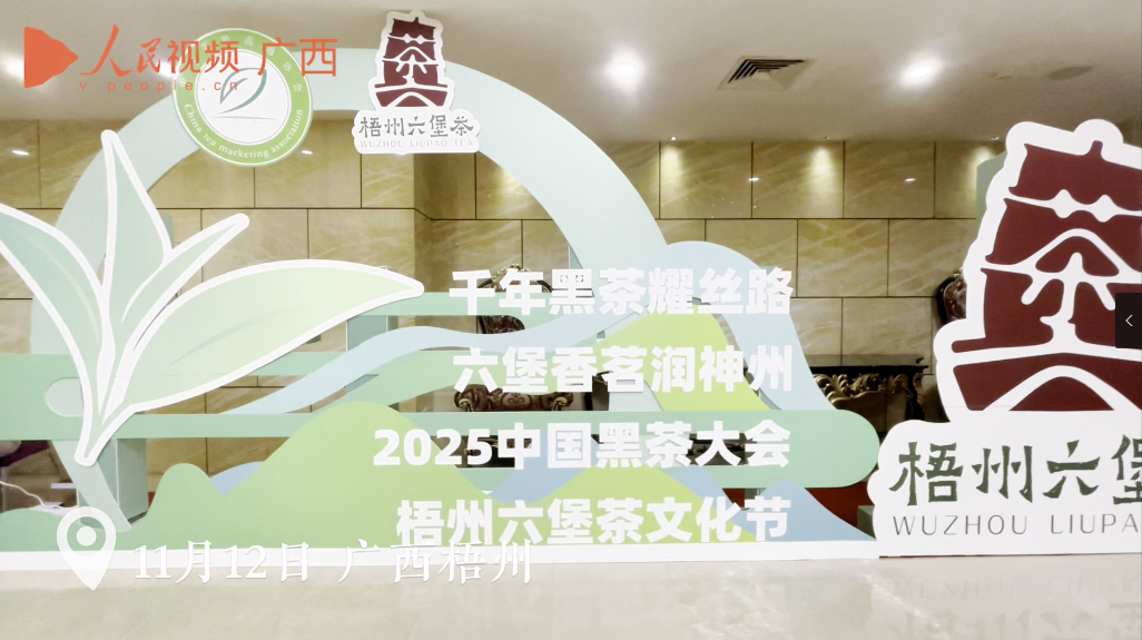 梧州：品茗洽談促合作 探索新茶飲路徑