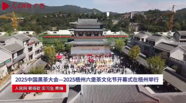 2025 中國黑茶大會一2025 梧州六堡茶文化節開幕式在梧州舉行