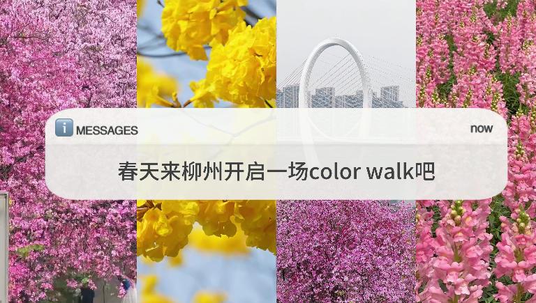 微信視頻2026-03-27_151350_626