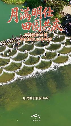 明仕田園2_x264