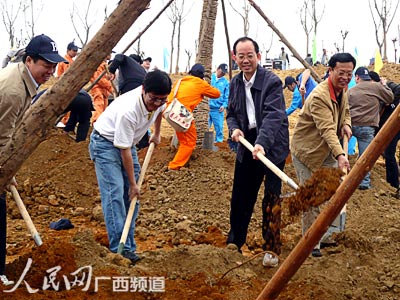 广西林业厅携手广西电网开展植树活动