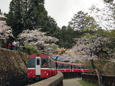 台湾确认5名大陆游客在阿里山小火车翻车事故