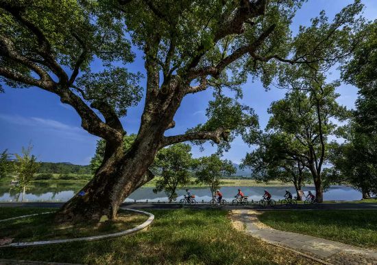 武夷山國家公園1號風景道（南平崇陽溪段）。吳大灼攝