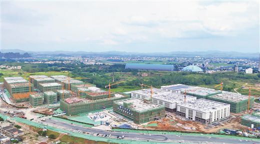 在建的玉林香辛料產業園項目。姚雙智攝